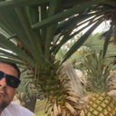 ���������� �����������, ���� ������� ����, 27 ���, ������������ ��� ������, ����� � ���������, c�������� ���������, ���������