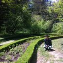 ���������� ������, ���� ������� Gevorg, 45 ���, ������������ ��� ������