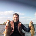 ���������� ������, ���� ������� ������, 46 ���, ������������ ��� ����� � ���������, c�������� ���������