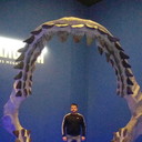 ���������� ������, ���� ������� ������, 38 ���, ������������ ��� ������, ����� � ���������, c�������� ���������