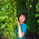 ���������� ������������, ���� ������� �����, 56 ���, ������������ ��� c�������� ���������