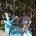 ���������� ��������, ���� ������� ������ �����, 44 ����, ������������ ��� ���������