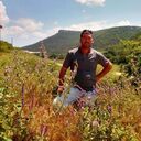 ���������� ���������, ���� ������� ��������, 36 ���, ������������ ��� ������, ����� � ���������