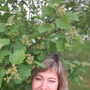 ���������� ������, ���� ������� �������, 46 ���, ������������ ��� ������, ����� � ���������, c�������� ���������