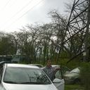 ���������� ��������, ���� ������� �����, 38 ���, ������������ ��� ������, ����� � ���������, c�������� ���������