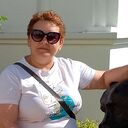  ,   , 53 ,   ,   