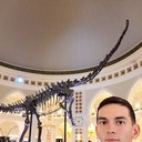  ,    , 29 ,   