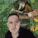 ���������� ����, ���� ������� �����, 43 ����, ������������ ��� c�������� ���������