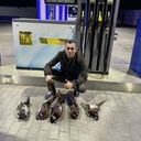 ���������� �������, ���� ������� Hushbaht, 38 ���, ������������ ��� ������, ����� � ���������, c�������� ���������, ���������