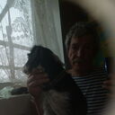 ���������� ������, ���� ������� ���� ������, 65 ���, ������������ ��� c�������� ���������, ���������