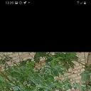 ���������� �����-���������, ���� ������� Sultan, 34 ����, ������������ ��� ������, ����� � ���������, c�������� ���������, ���������