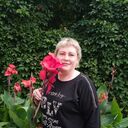  ,   , 56 ,   ,   