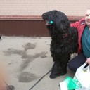  ,   Vasil, 57 ,   ,   , c , 