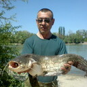 ���������� ���������, ���� ������� ����, 62 ����, ������������ ��� ������, ����� � ���������, c�������� ���������, ���������