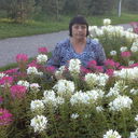 ���������� ��������, ���� ������� ��������, 51 ���, ������������ 