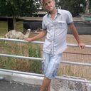  ,   , 43 ,   ,   