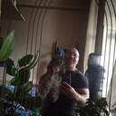  -,   , 44 ,   ,   , c 