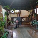 ���������� ������, ���� ������� �������, 43 ����, ������������ ��� c�������� ���������