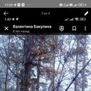 ���������� �������, ���� ������� ���������, 71 ���, ������������ ��� c�������� ���������