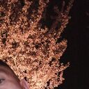 ���������� ���������, ���� ����� �����, 24 ����, ������������ ��� ������, ����� � ���������, ���������