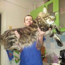 ���������� ������, ���� ������� ������, 45 ���, ������������ ��� ������, ����� � ���������