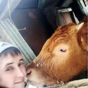 ���������� ���������, ���� ������� ����, 27 ���, ������������ ��� ������, ����� � ���������, c�������� ���������, ���������