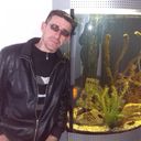 ���������� �����, ���� ������� ������, 49 ���, ������������ ��� ����� � ���������, c�������� ���������