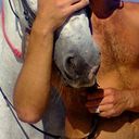 ���������� ������, ���� ������� ����, 44 ����, ������������ ��� ������