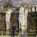 ���������� ���������, ���� ������� ������, 38 ���, ������������ ��� c�������� ���������