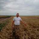 ���������� �����, ���� ������� �������, 43 ����, ������������ ��� ������, ����� � ���������, c�������� ���������, ���������