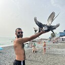 ���������� ������, ���� ������� �����, 30 ���, ������������ ��� ����� � ���������, ���������