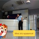  ,   , 55 ,  