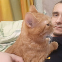 ���������� ������, ���� ������� ������, 33 ����, ������������ ��� ����� � ���������, c�������� ���������