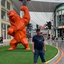 ���������� ������, ���� ������� �������, 55 ���, ������������ ��� ������, ����� � ���������