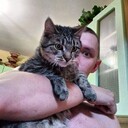 ���������� ���������, ���� ������� ������, 27 ���, ������������ ��� ������, ����� � ���������, c�������� ���������