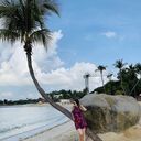 ���������� �����������, ���� ������� ��������, 37 ���, ������������ ��� c�������� ���������