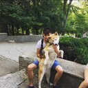 ���������� ����, ���� ������� ����, 50 ���, ������������ ��� ������, ����� � ���������