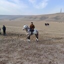 ���������� ������-����, ���� ����� ���, 23 ����, ������������ ��� ������, ����� � ���������