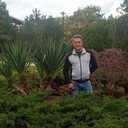 ���������� �����������, ���� ������� ����, 43 ����, ������������ ��� ����� � ���������, c�������� ���������