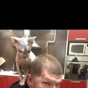 ���������� ���������, ���� ������� �����, 34 ����, ������������ ��� ������, ����� � ���������