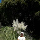  ,   , 59 ,     , c 