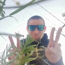 ���������� ������ ��������, ���� ������� ������, 33 ����, ������������ ��� ������, ����� � ���������