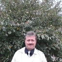 ���������� �����������, ���� ������� ��������, 56 ���, ������������ ��� ������, ����� � ���������, c�������� ���������