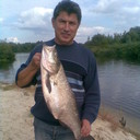  ,   , 61 ,   