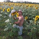 ���������� ������-��-����, ���� ������� �����, 43 ����, ������������ ��� ������