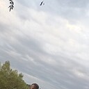 ���������� ����������, ���� ������� �������, 40 ���, ������������ ��� ������, ����� � ���������, c�������� ���������