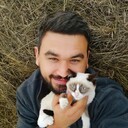 ���������� �����, ���� ������� ������, 38 ���, ������������ ��� ������, ����� � ���������