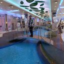 ���������� �����-���������, ���� ������� �����, 30 ���, ������������ ��� ������, ����� � ���������