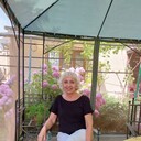 ���������� ������, ���� ������� �����, 67 ���, ������������ ��� ����� � ���������, c�������� ���������, ���������