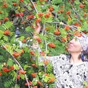  ,   Irina, 64 ,   